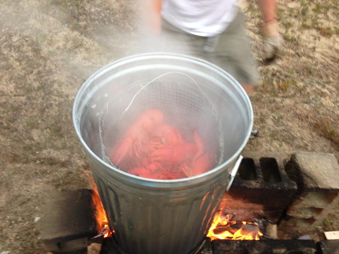 This is how you boil Labsta in New England!