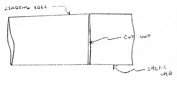 Canard Leading Edge